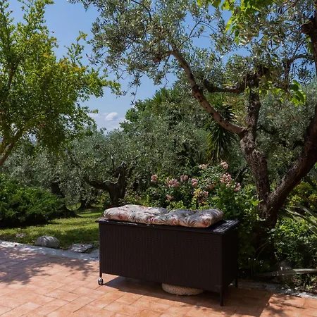 Olive Grove Sabina By Interhome Canneto (Lazio)